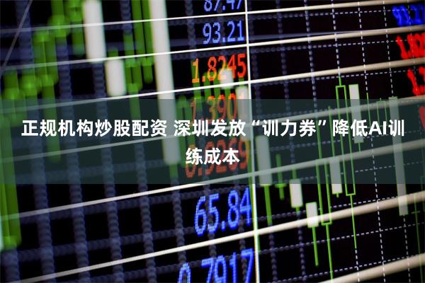 正规机构炒股配资 深圳发放“训力券”降低AI训练成本